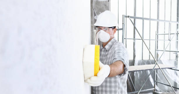 Best Asbestos and Lead Testing During Mold Inspection  in River Falls, WI