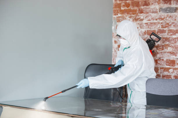 Biohazard Mold Removal in River Falls, WI